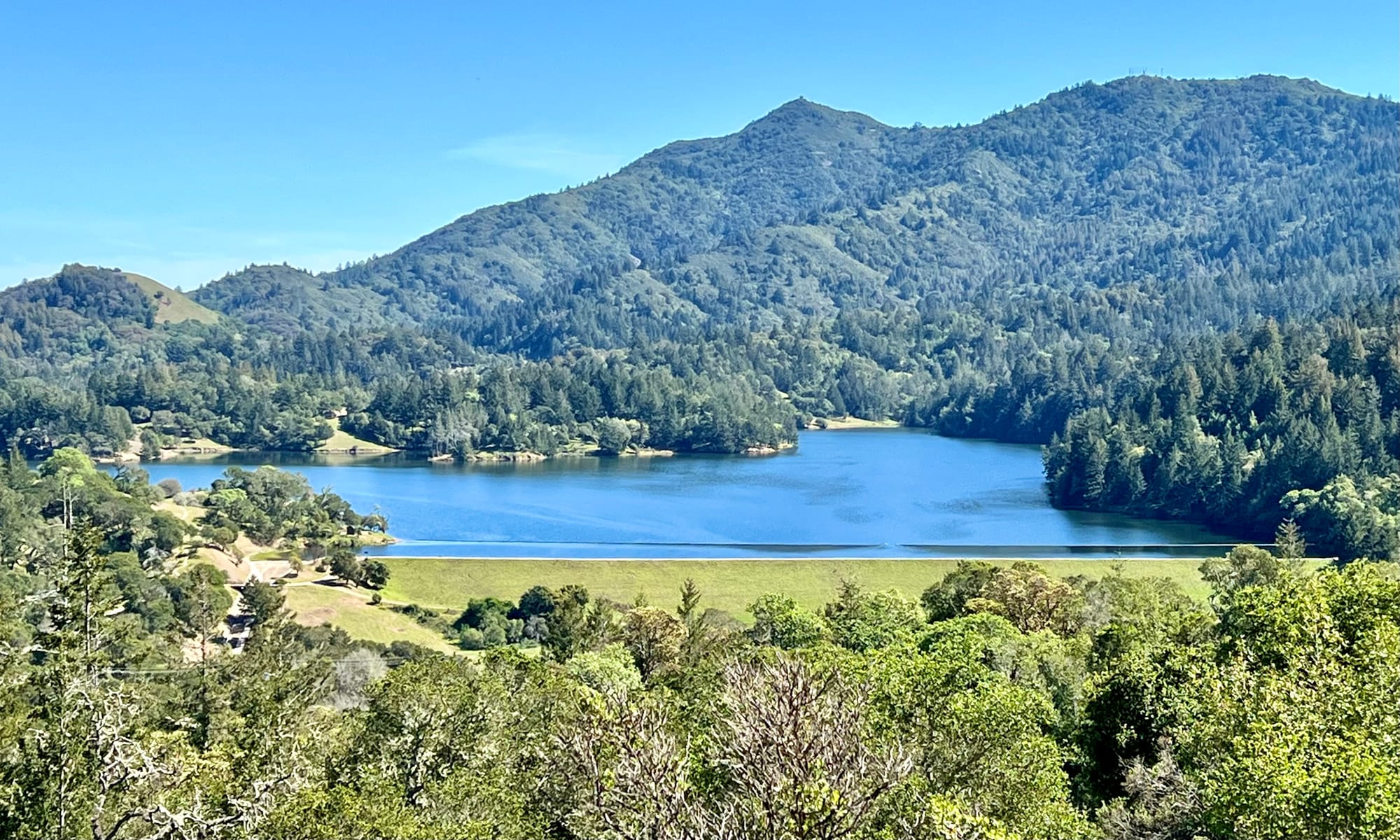 California reservoir levels are a critical factor in managing the state’s water supply.