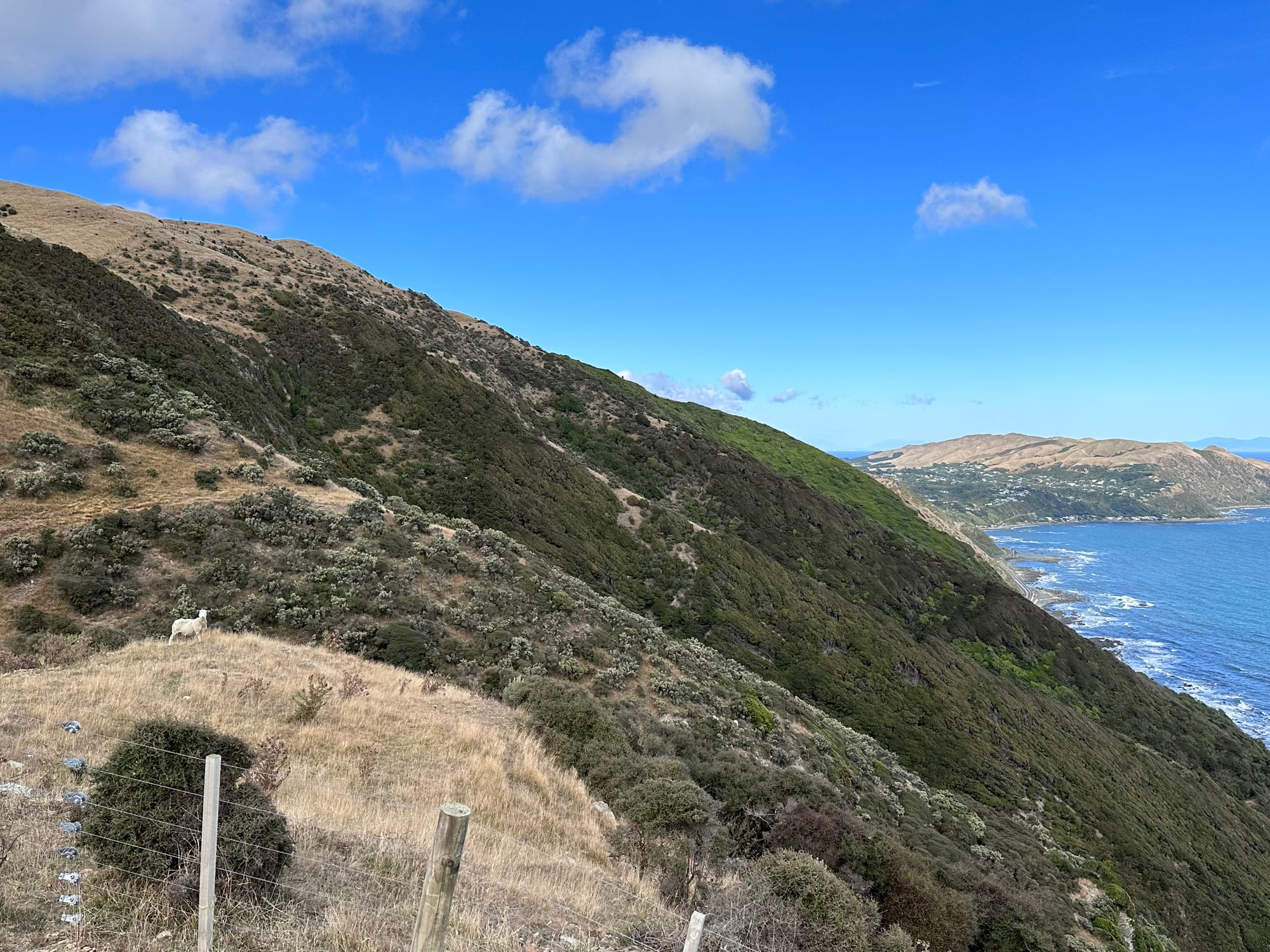 California Coastline Protected by the California Coastal Act.