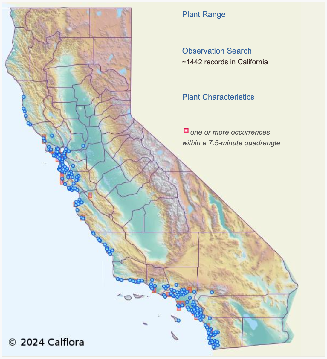 Map of California showing the distribution of Pride-of-Madeira with numerous occurrences along the coastal regions.