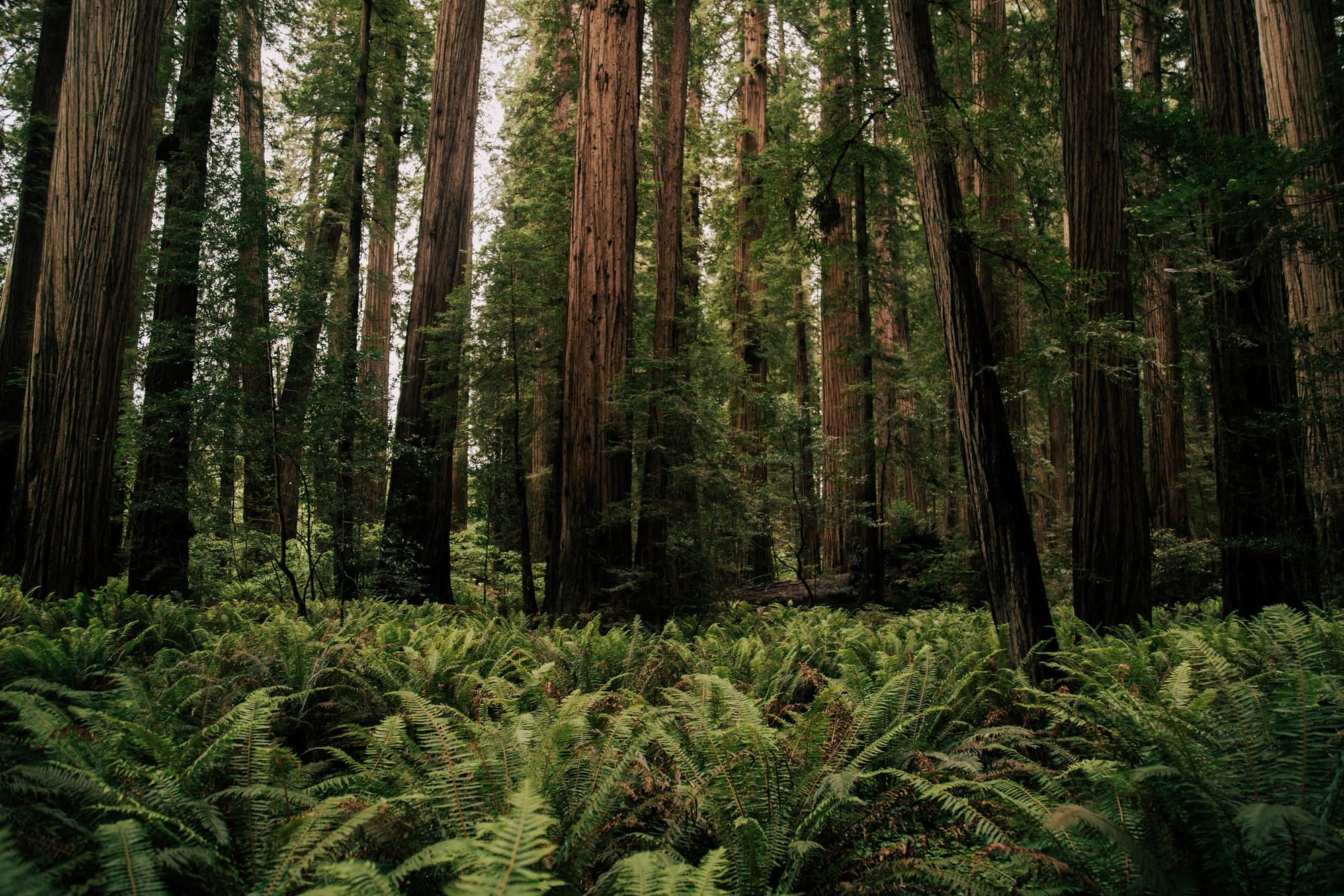 California's two newly designated National Monuments showcase breathtaking landscapes.