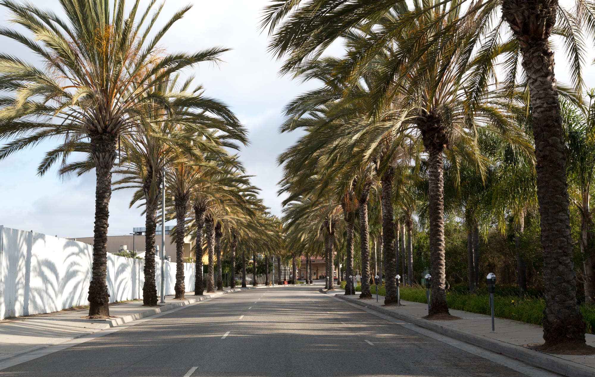 Hotel demand growth in Los Angeles and California’s gateway cities.
