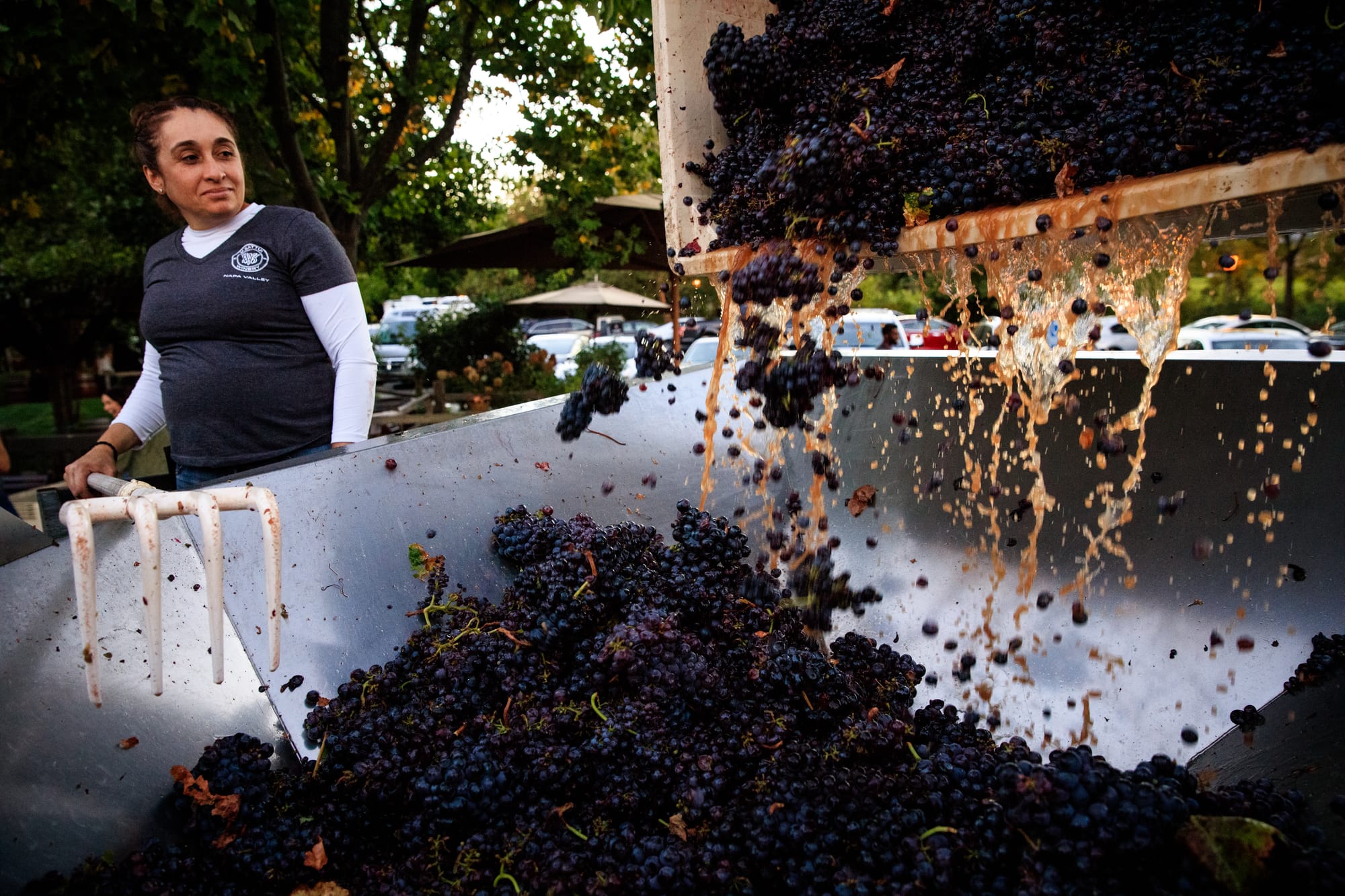 2025 California Winery Map.