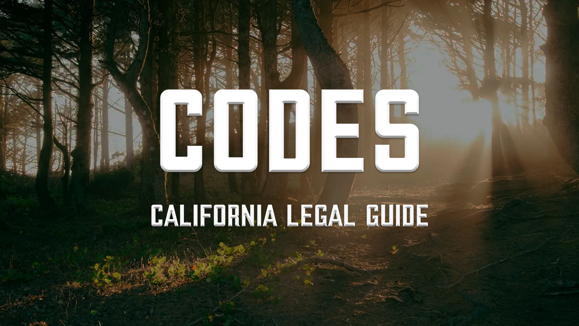 California legislative codes: A comprehensive guide to state laws (2025)