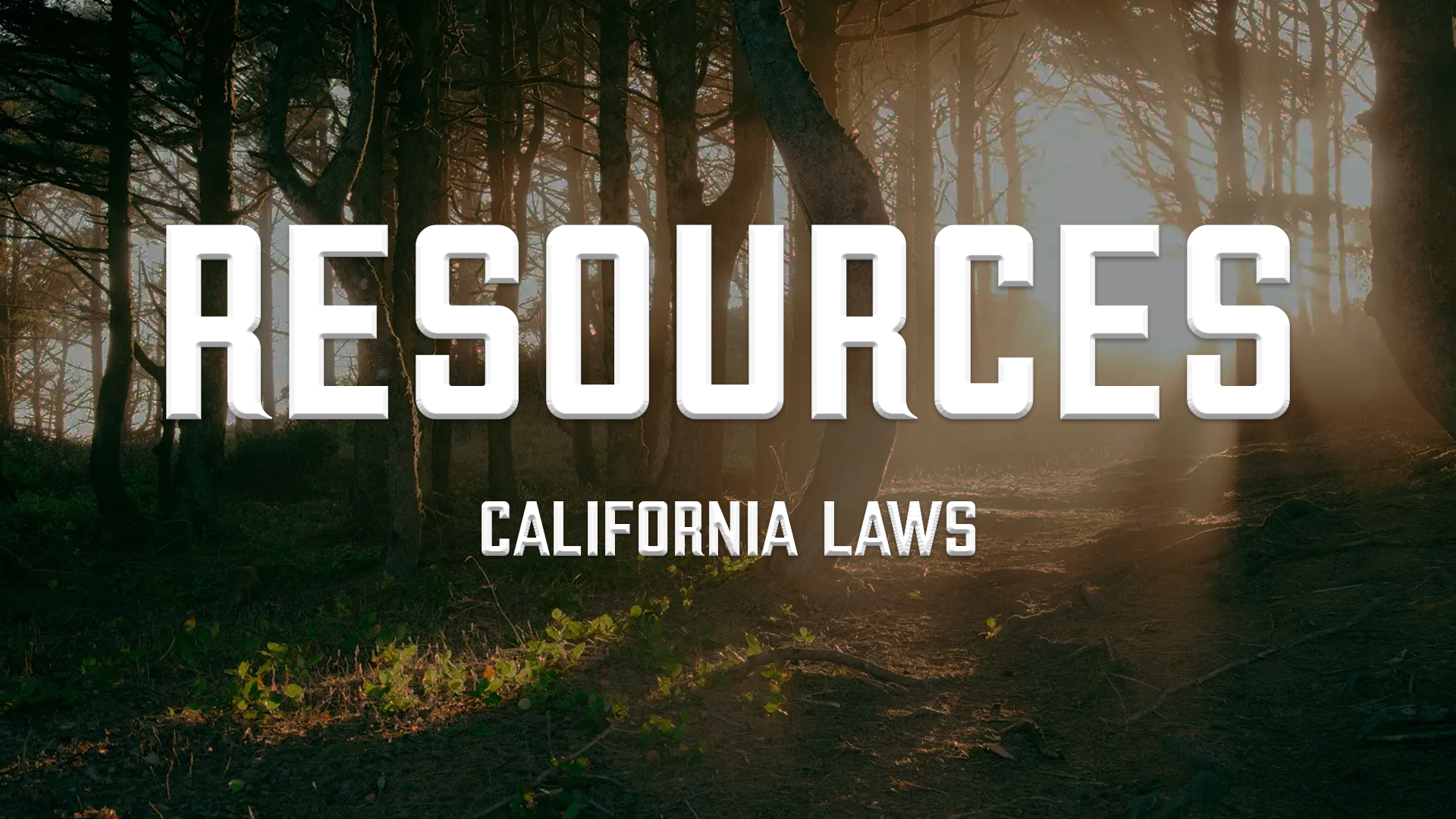 California Legal Resources