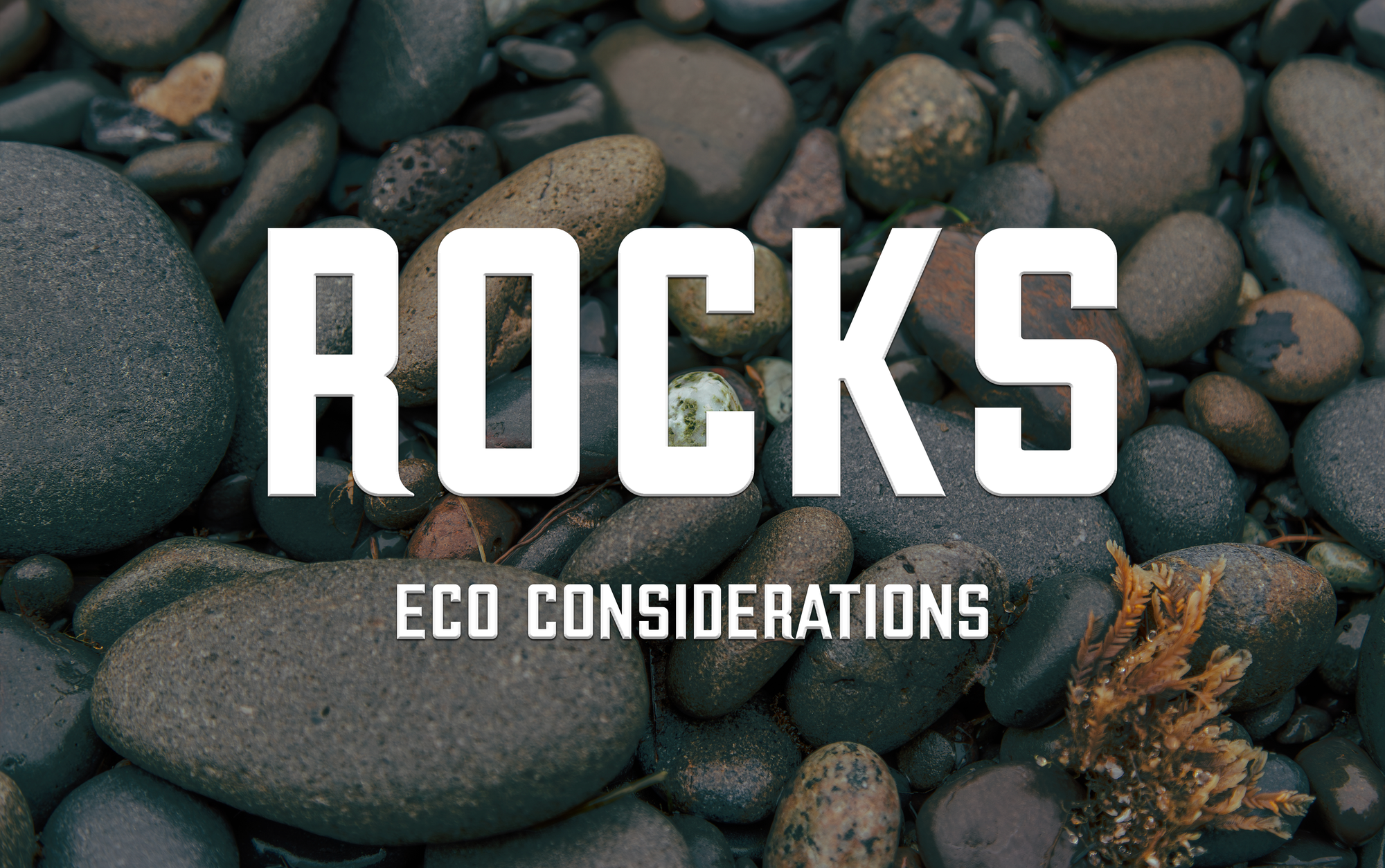 Environmental considerations & best practices for rockhounding in California