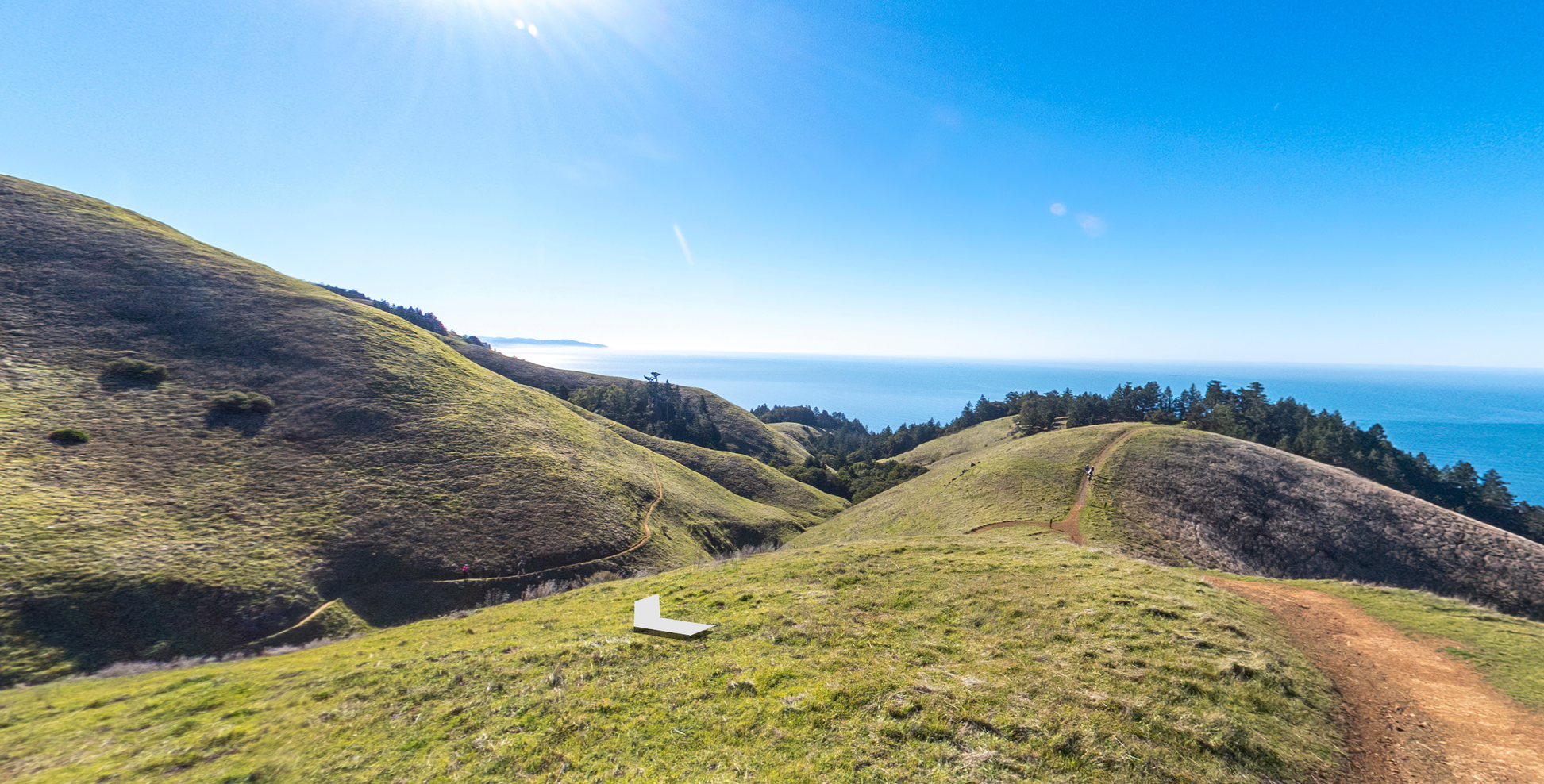 Mount Tamalpais' Coastal Trail: A Hidden Bay Area Gem