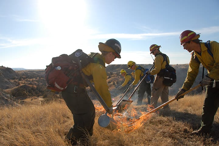 How to burn debris safely in California: Official guidelines and regulations for 2025