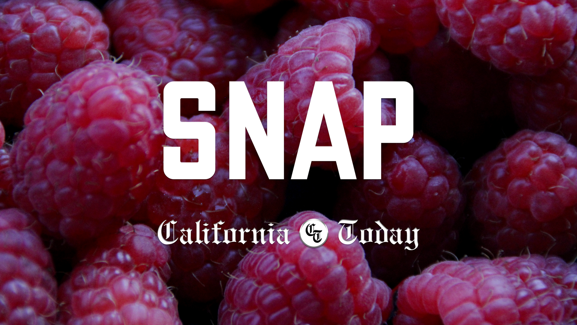 2026 SNAP Benefits Guide.