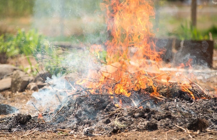 Planning to burn dead vegetation this summer? Here's what to know about California burn permits in 2025 post image