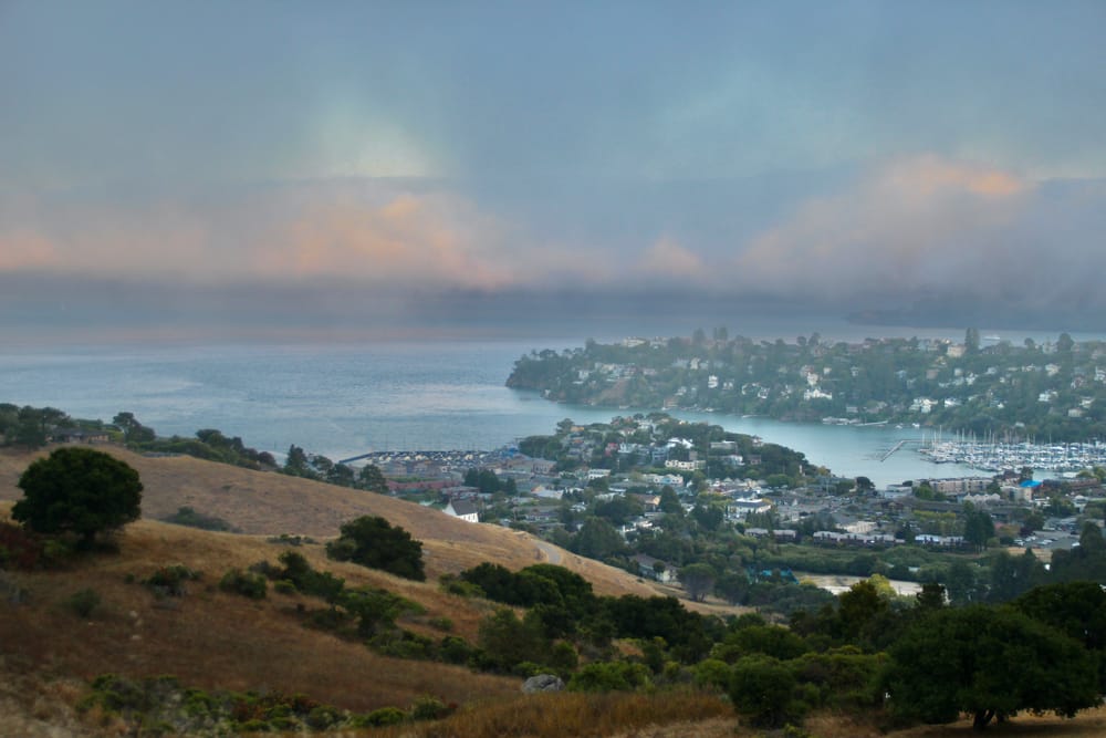 94% behavioral health coverage, 31K+ treatment projects reported under  CA's "Mental Health for All" initiative post image