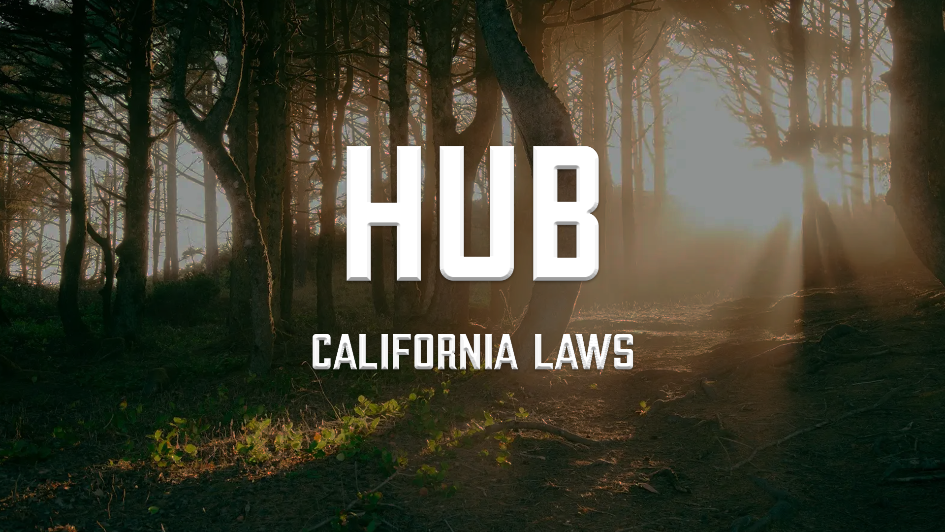 California Law post image