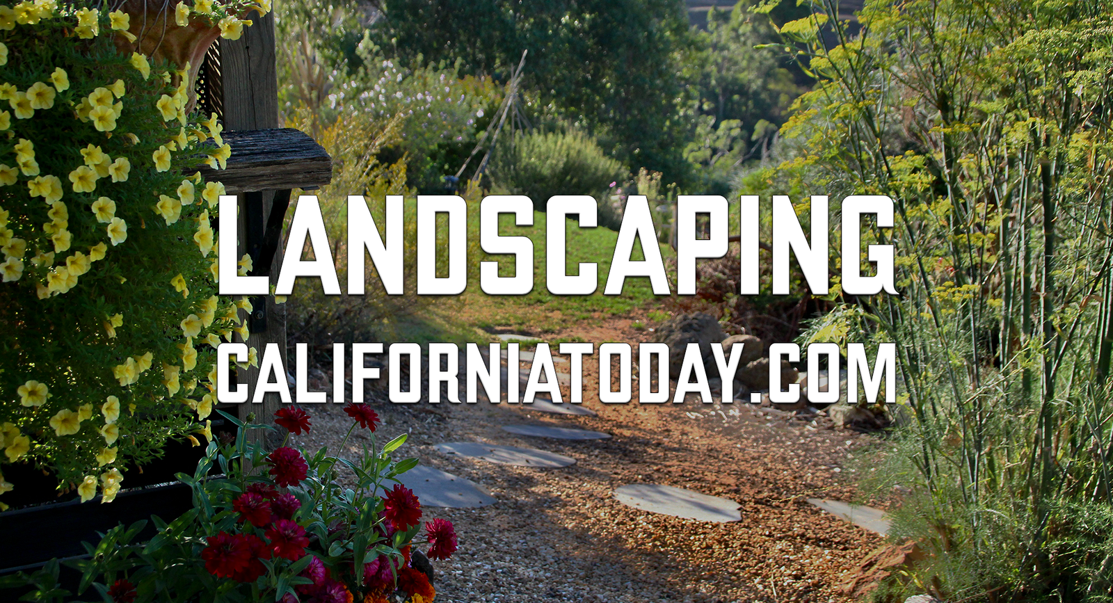Landscaping post image