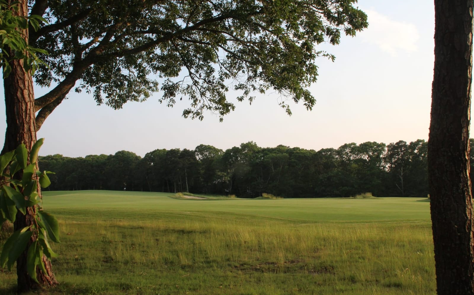 2026 SSI & SSDI guide: Payment standards and work thresholds post image