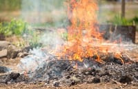 California burn permit rules for summer 2025..