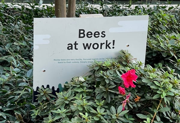 California's Bee Protection Regulations.