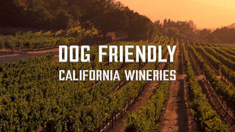 Discover pet-friendly wineries across California's diverse regions.