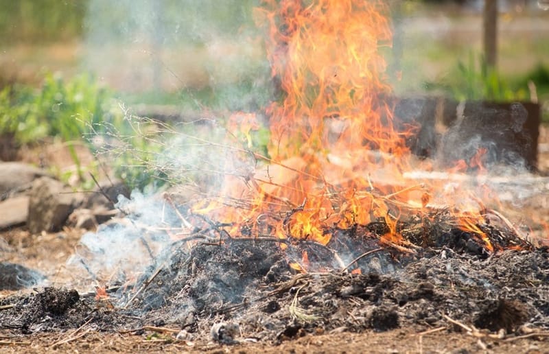 California burn permit rules for summer 2025..