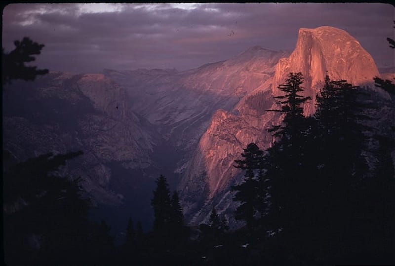 Best Months to Visit Yosemite 2025.
