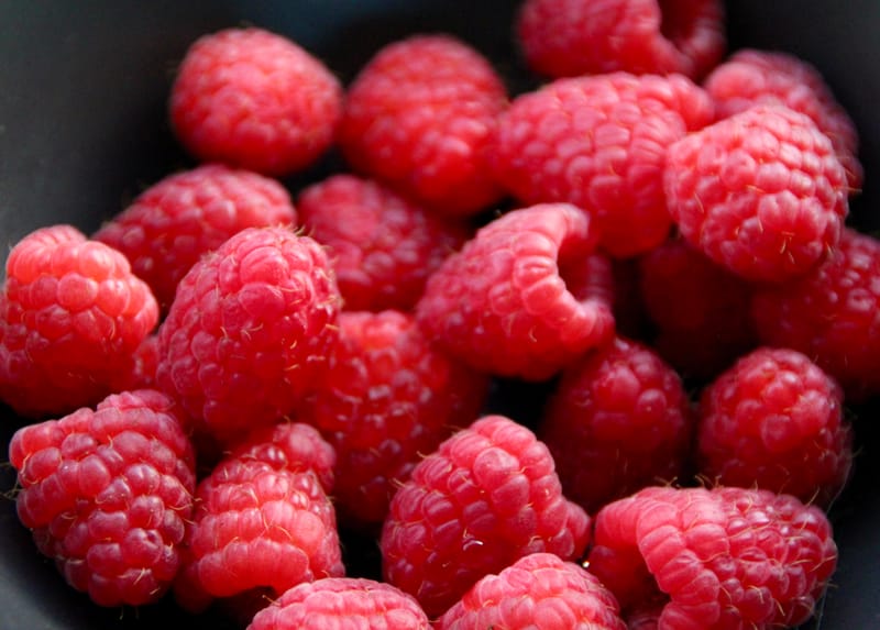 California cracks down on ultra-processed foods in schools.